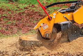 Grass Overseeding in Copiague, NY