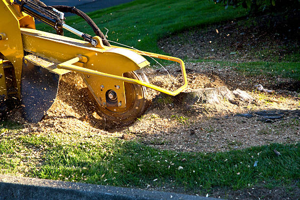 Mulching Services in Copiague, NY